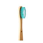 Bamboo Toothbrush Standard Adult - Green